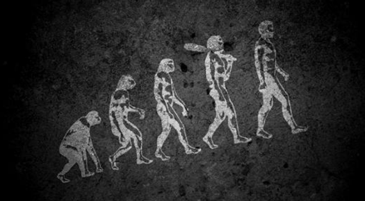 Evolution Theory