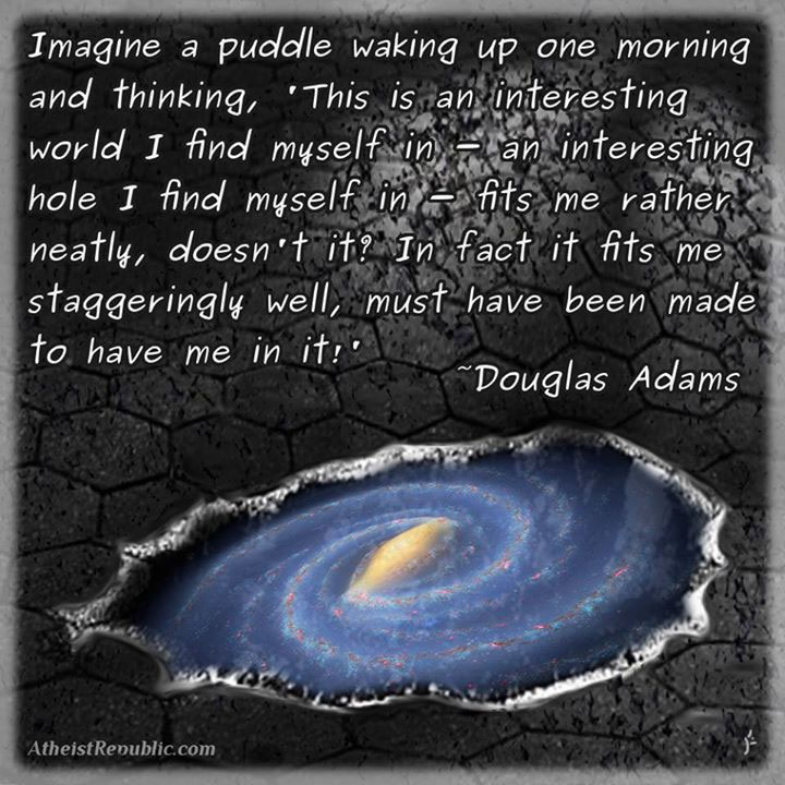 Imagine a Puddle - Douglas Adams