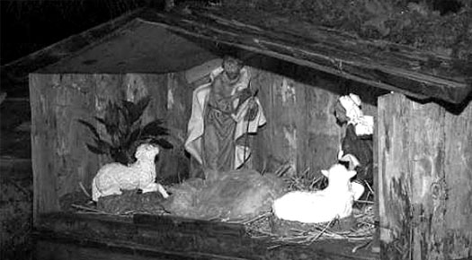 Nativity Scene