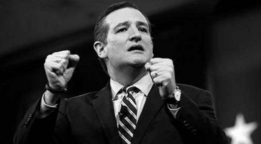 Senator Ted Cruz