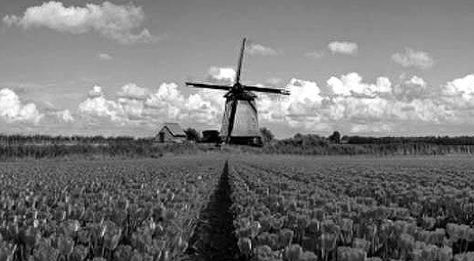 Windmill