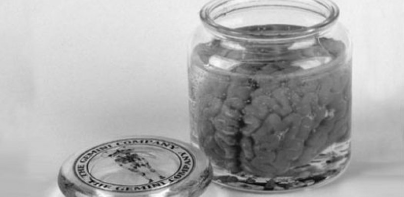 Brain Jar