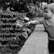 Douglas Adams: Isn't it enough to see that a garden is beautiful